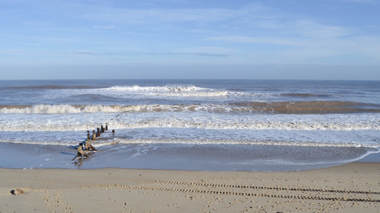 Photo of Others in Bacton