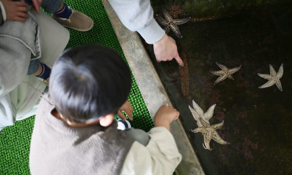 Photo of Others in Suooshima