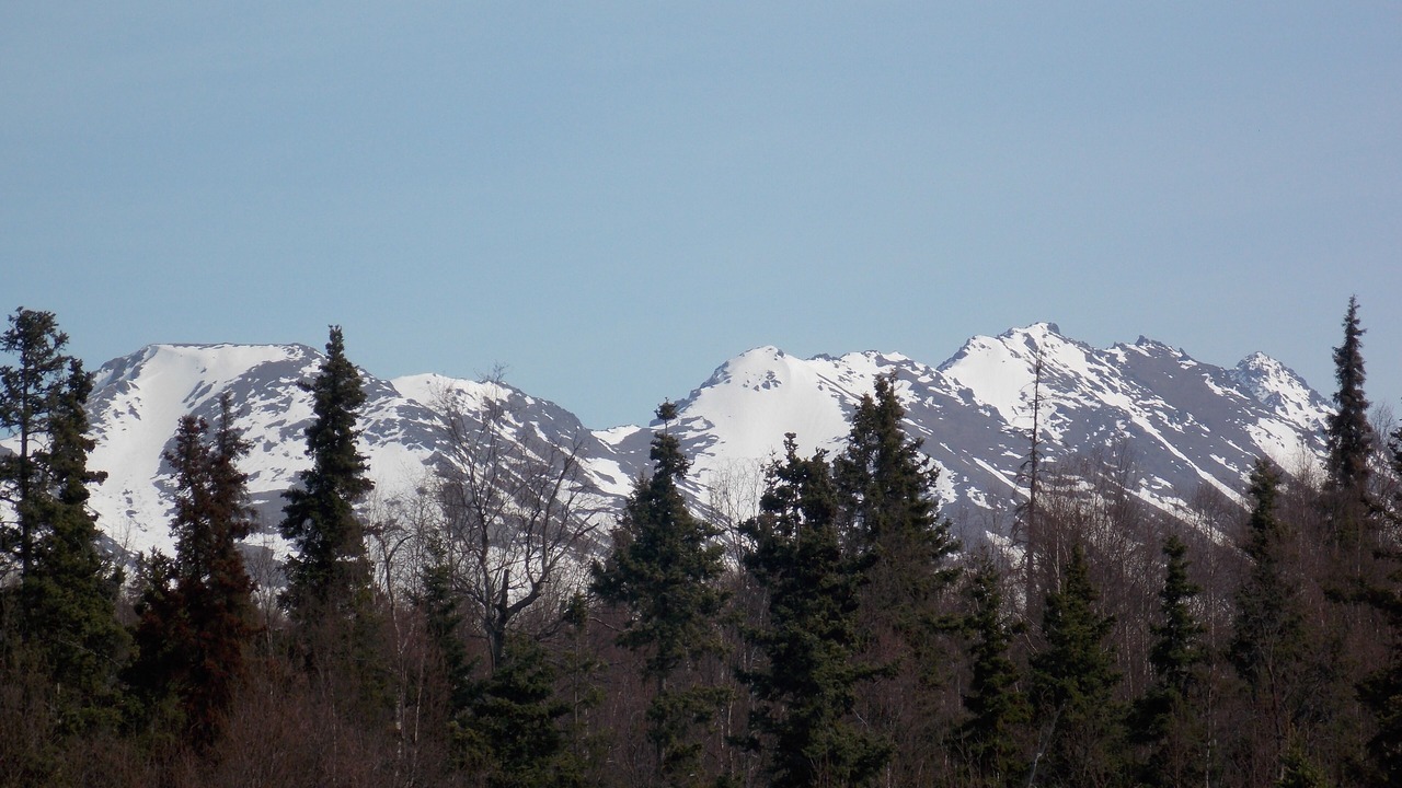 Photo of Others in Abbott Loop
