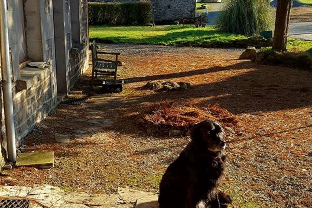 Photo of Outdoor in Plesidy