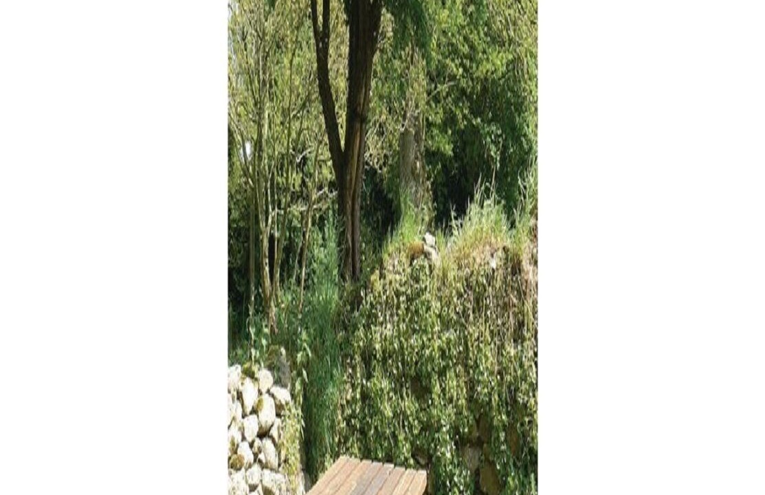 Photo of Outdoor in Plesidy