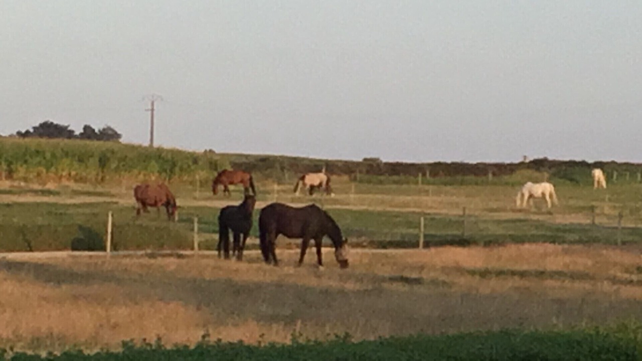 Photo of Others in Plouescat