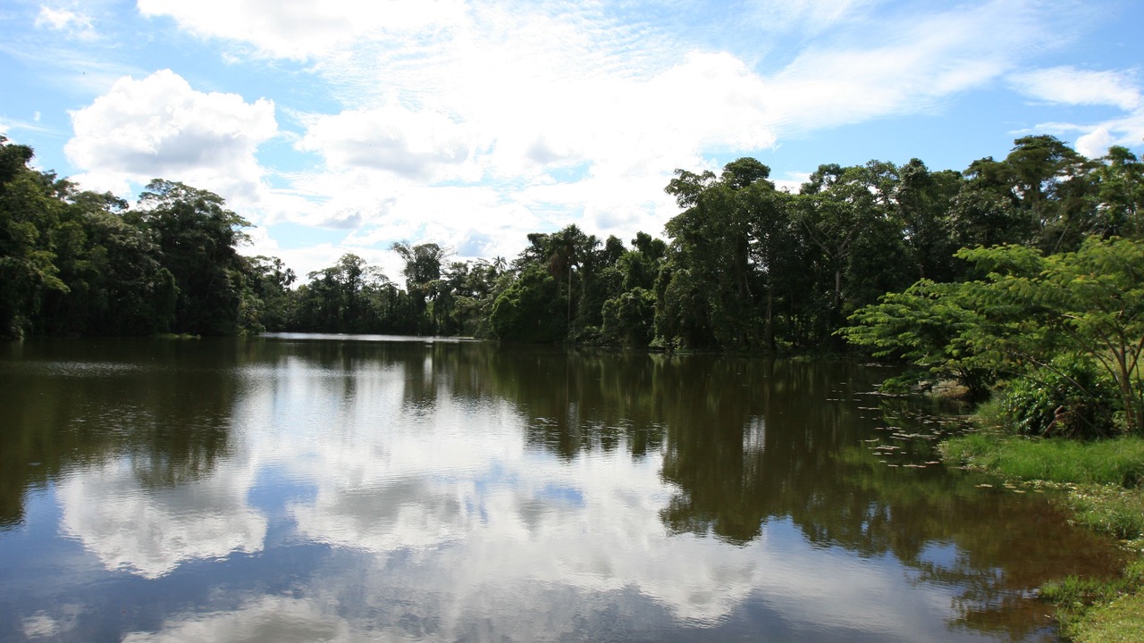 Photo of Outdoor in Ahuano