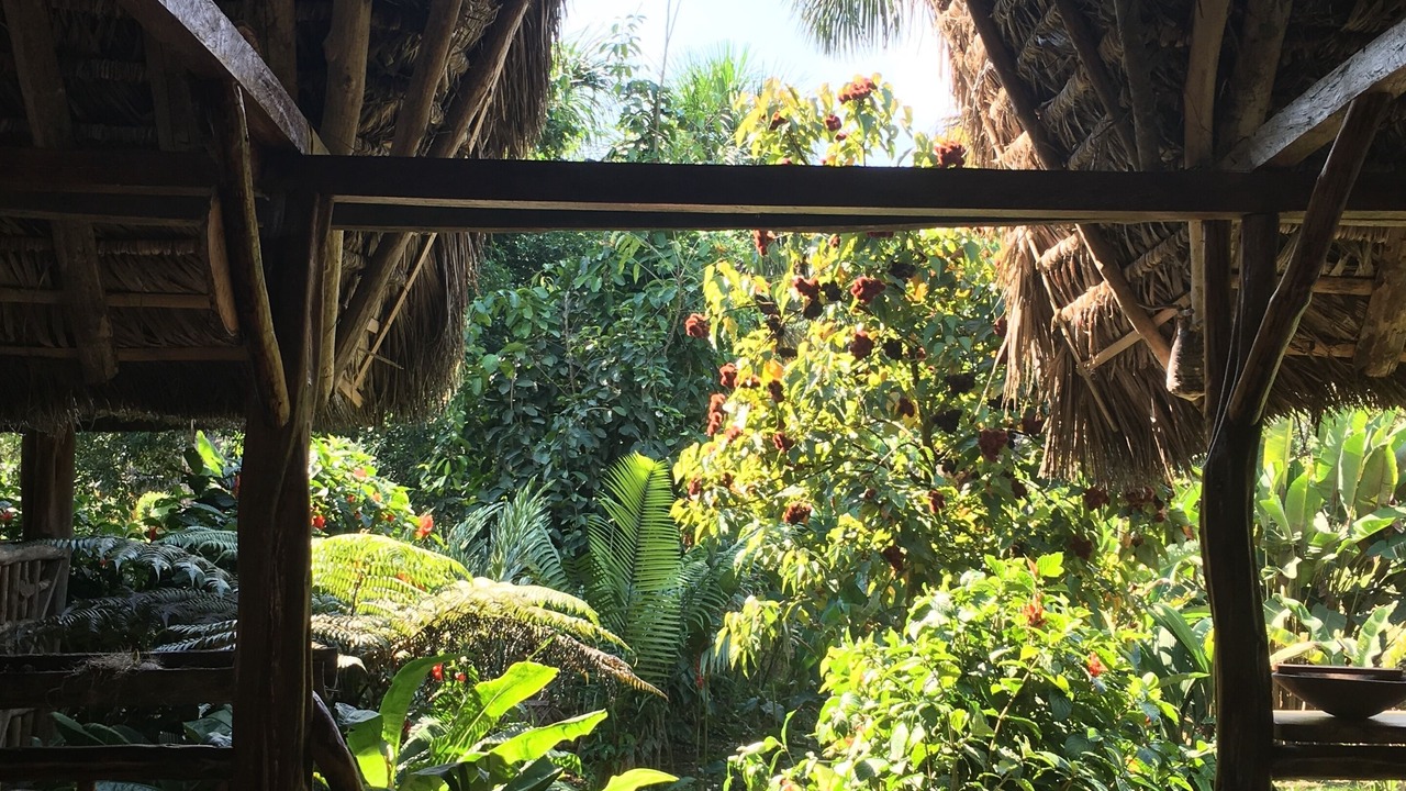 Photo of Patio Balcony in Ahuano