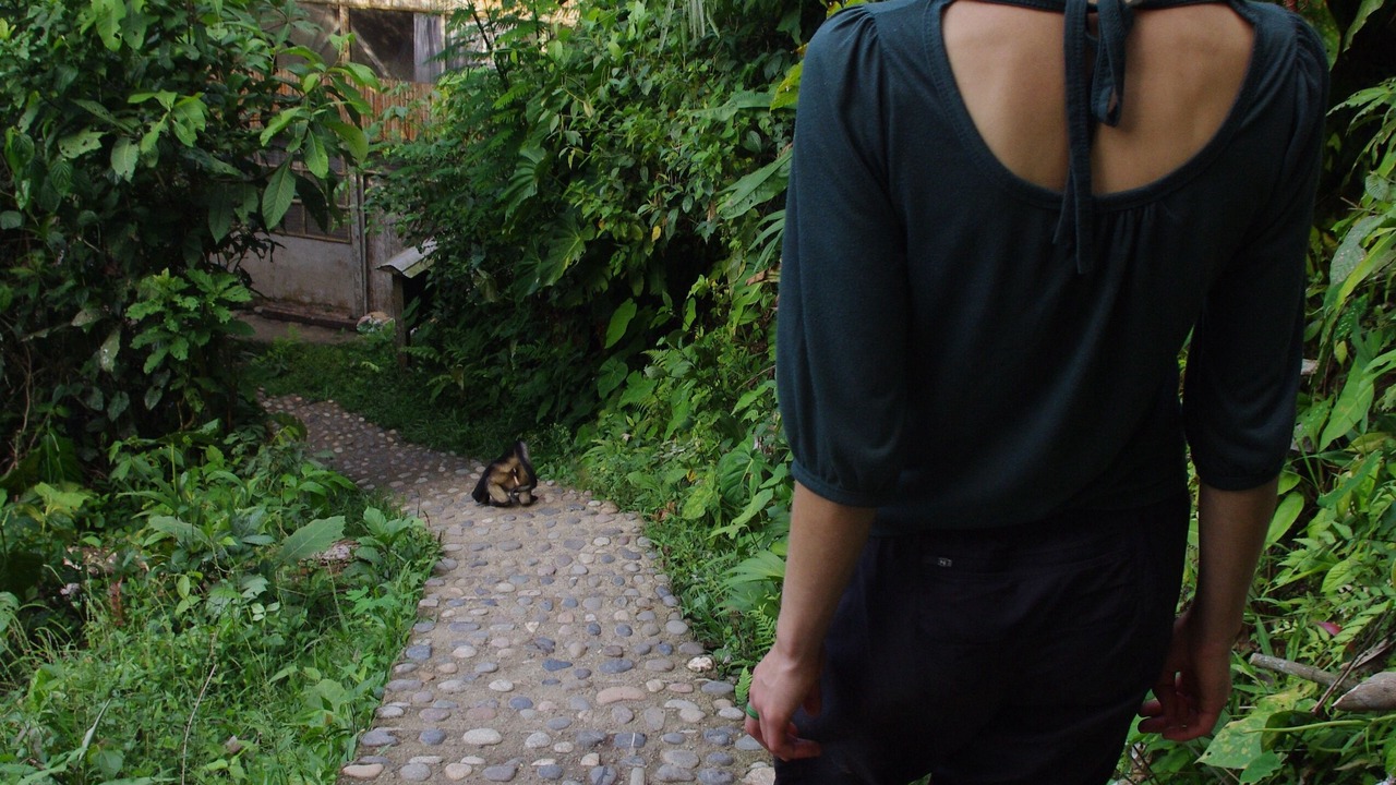 Photo of Outdoor in Ahuano