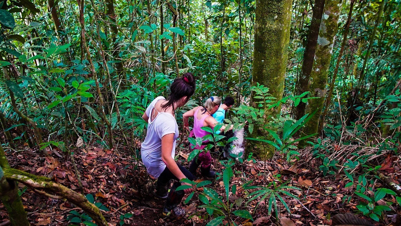 Photo of Outdoor in Ahuano