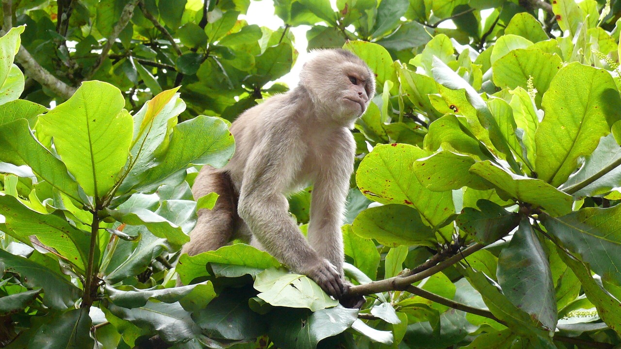 Photo of Outdoor in Ahuano