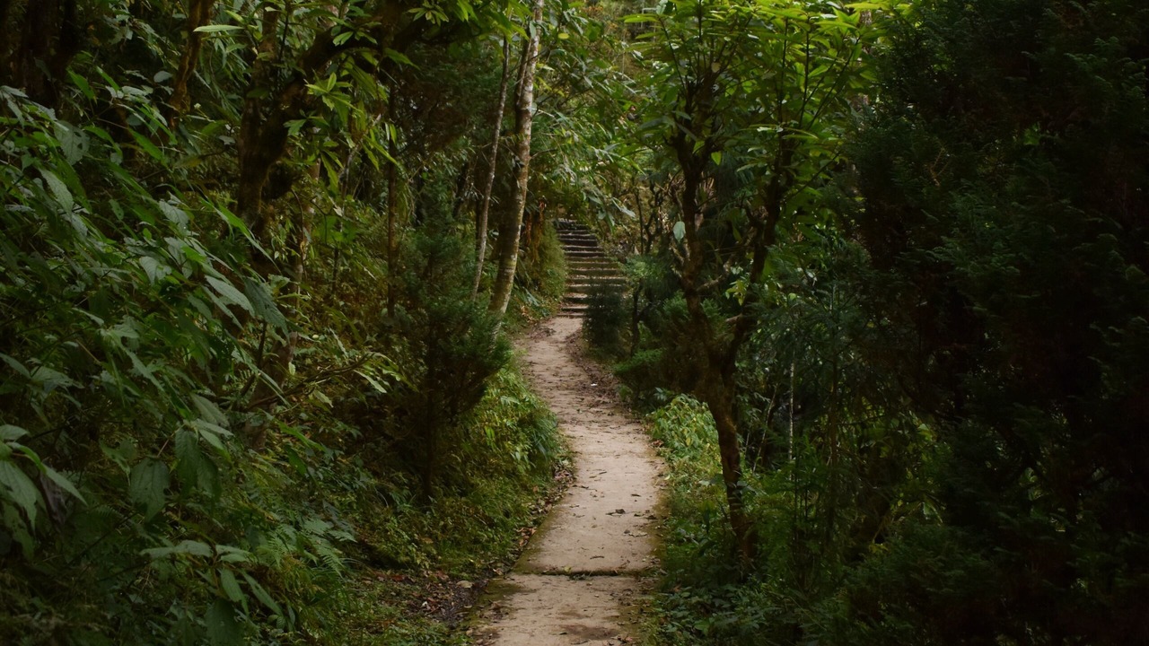 Photo of Outdoor in Darjeeling