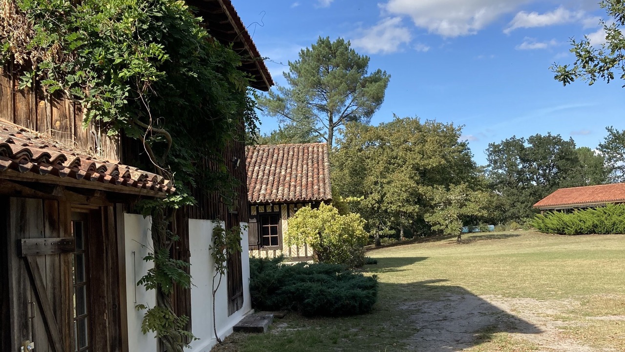 Photo of Outdoor in Luxey