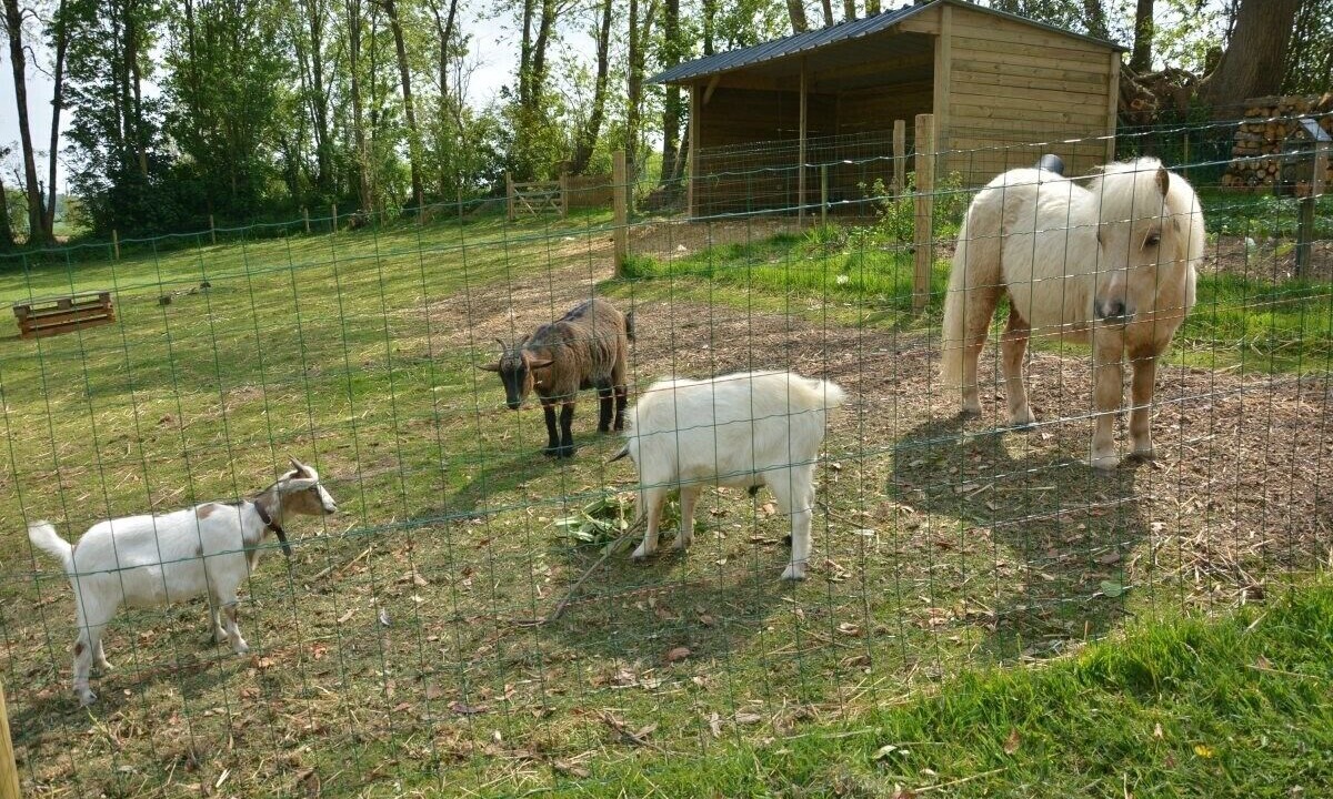 Photo of Outdoor in Loperec