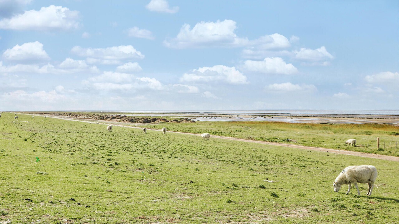 Photo of Others in Hojer