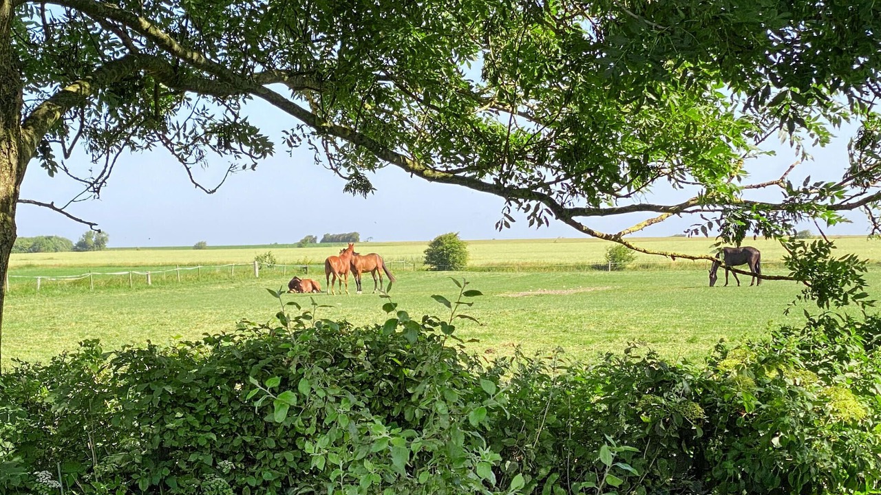 Photo of Others in Hojer