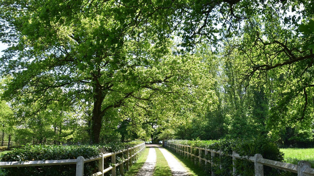 Photo of Others in Combreux