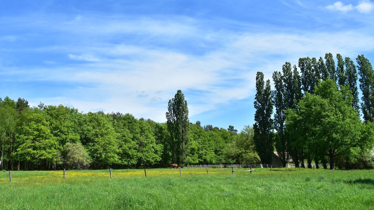 Photo of Others in Combreux