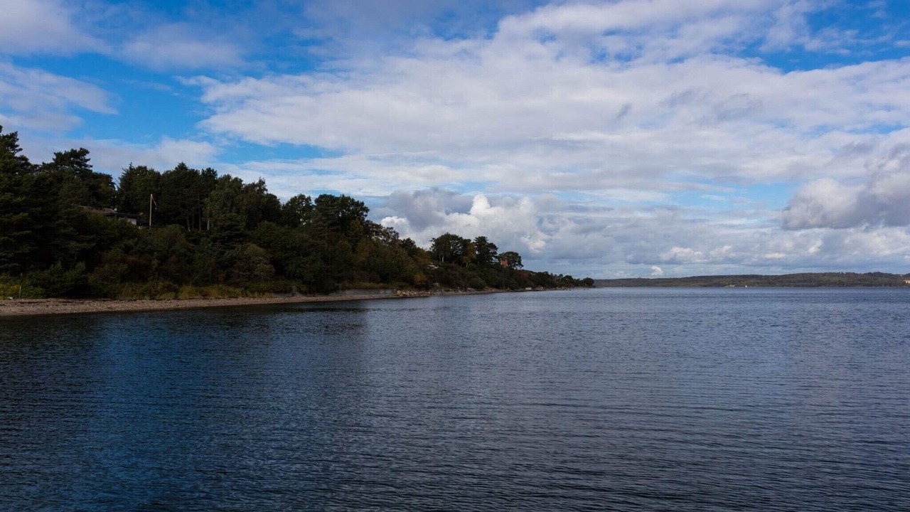 Photo of Others in Hvidbjerg Strand