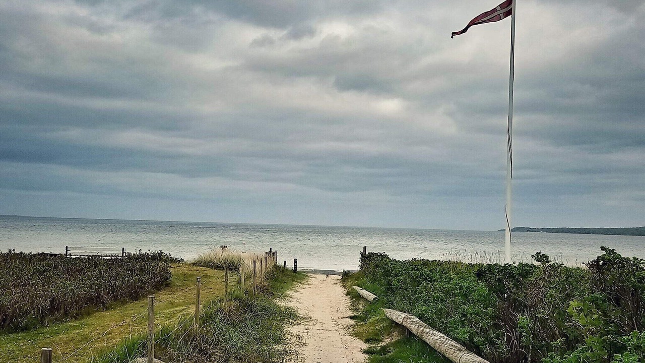 Photo of Others in Hvidbjerg Strand