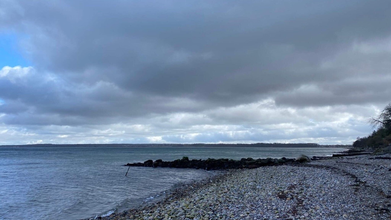 Photo of Others in Hvidbjerg Strand