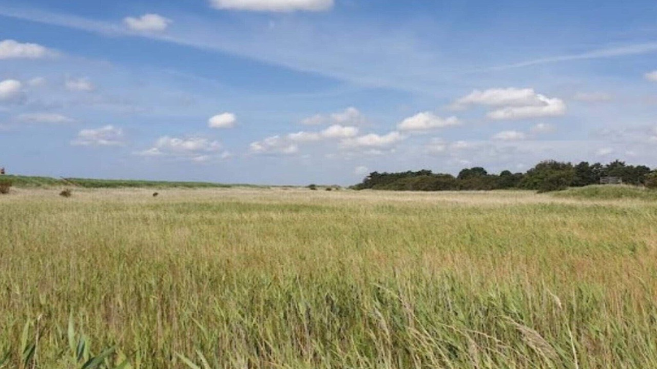 Photo of Outdoor in Faldsled