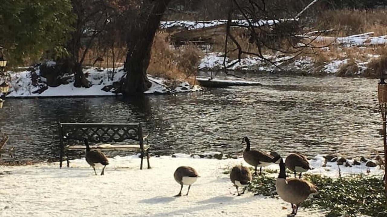 Photo of Outdoor in Cambridge