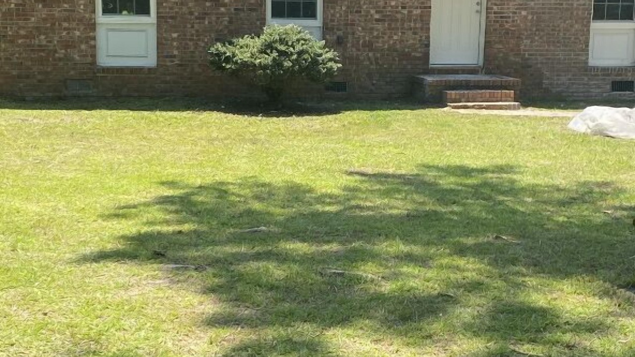 Photo of Outdoor in East Sumter
