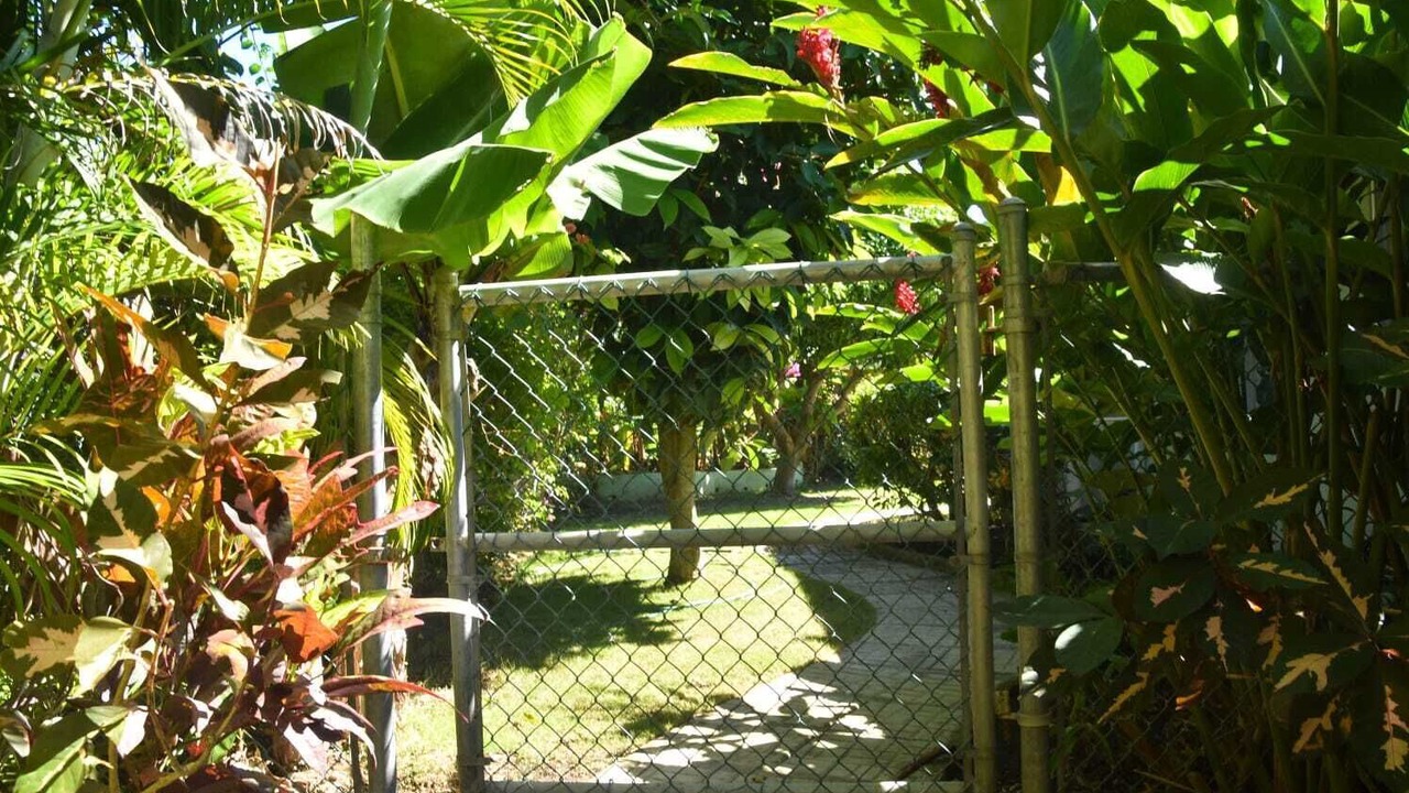Photo of Outdoor in St. Ann's Bay