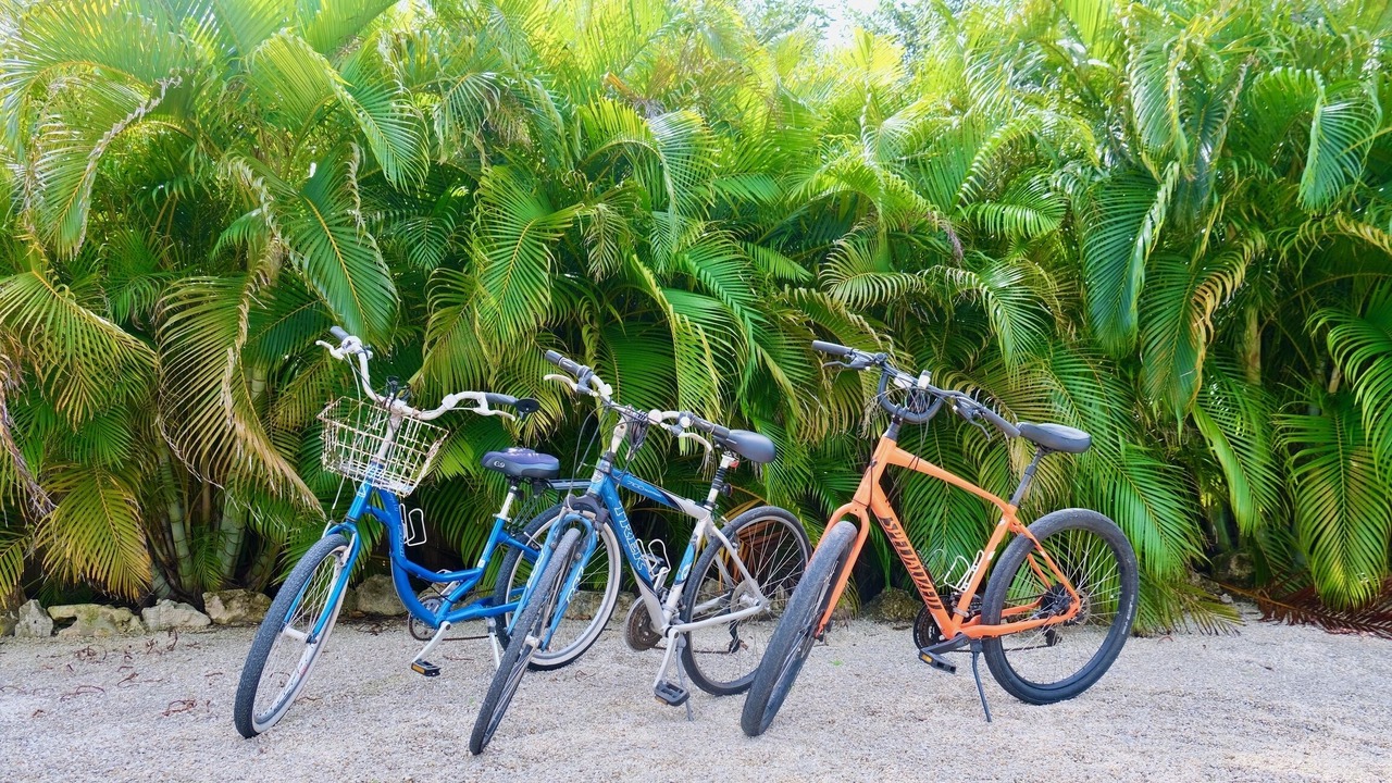 Photo of Outdoor in Big Pine Key