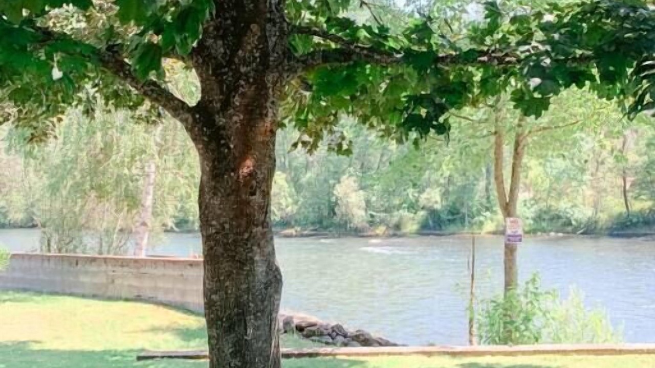 Photo of Others in Jackson County