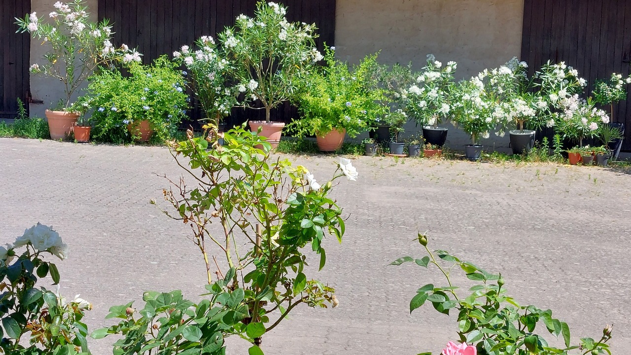 Photo of Outdoor in Freckenfeld