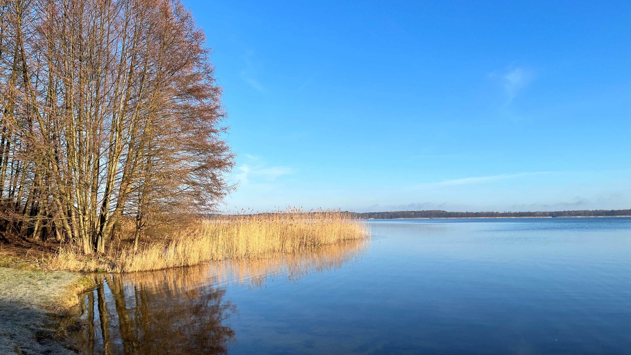 Photo of Others in Joachimsthal