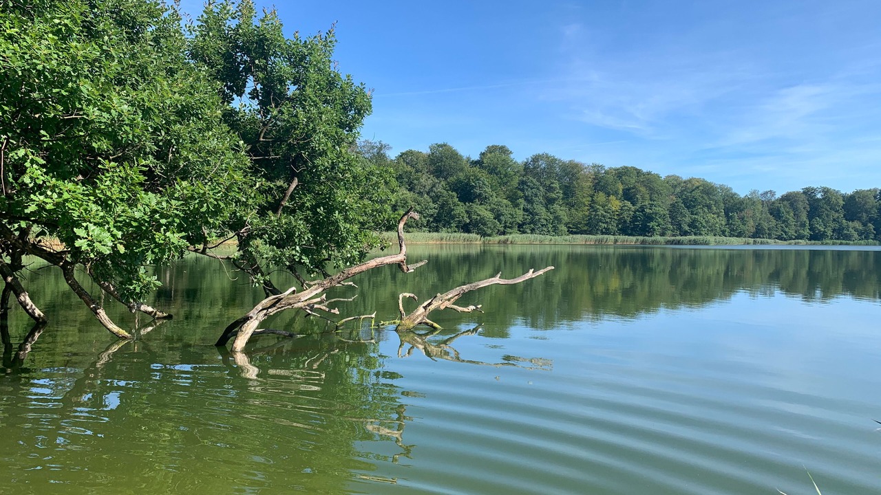 Photo of Outdoor in Joachimsthal