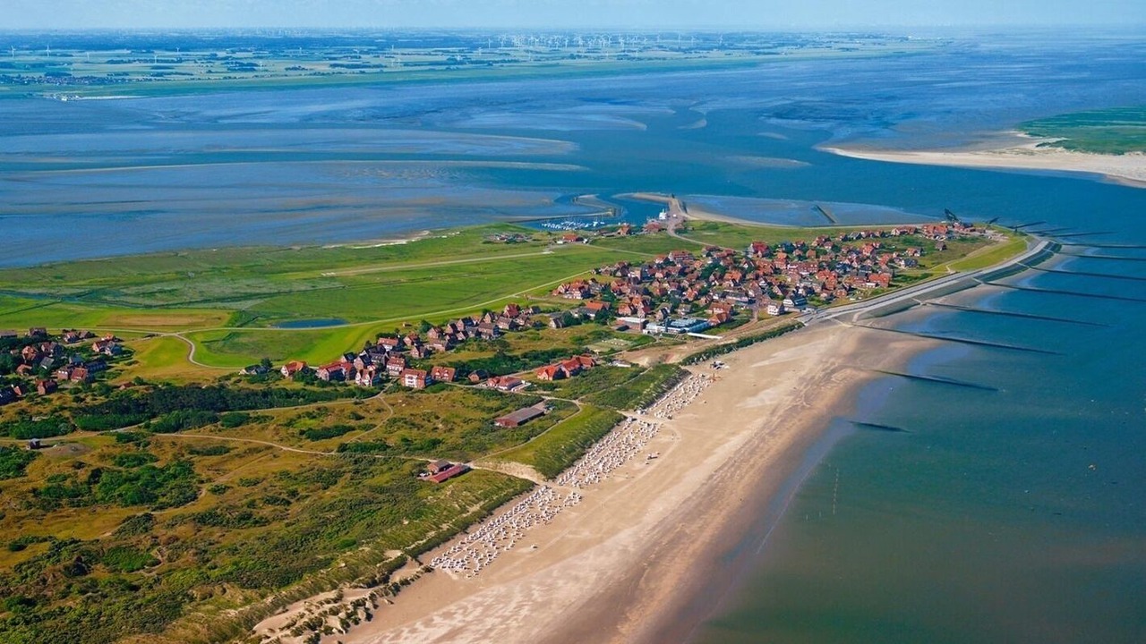 Photo of Others in Baltrum