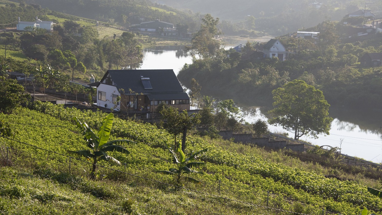 Photo of Outdoor in Bao Loc