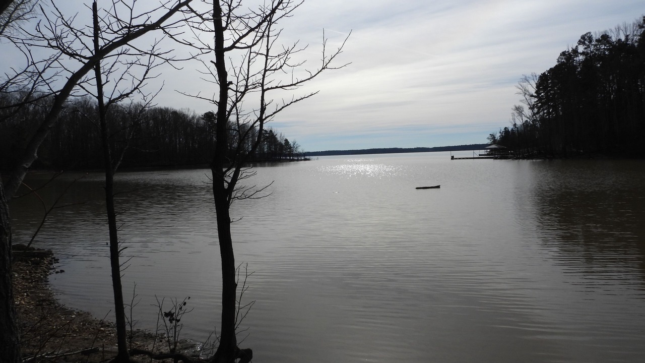 Photo of Outdoor in Merifield Acres