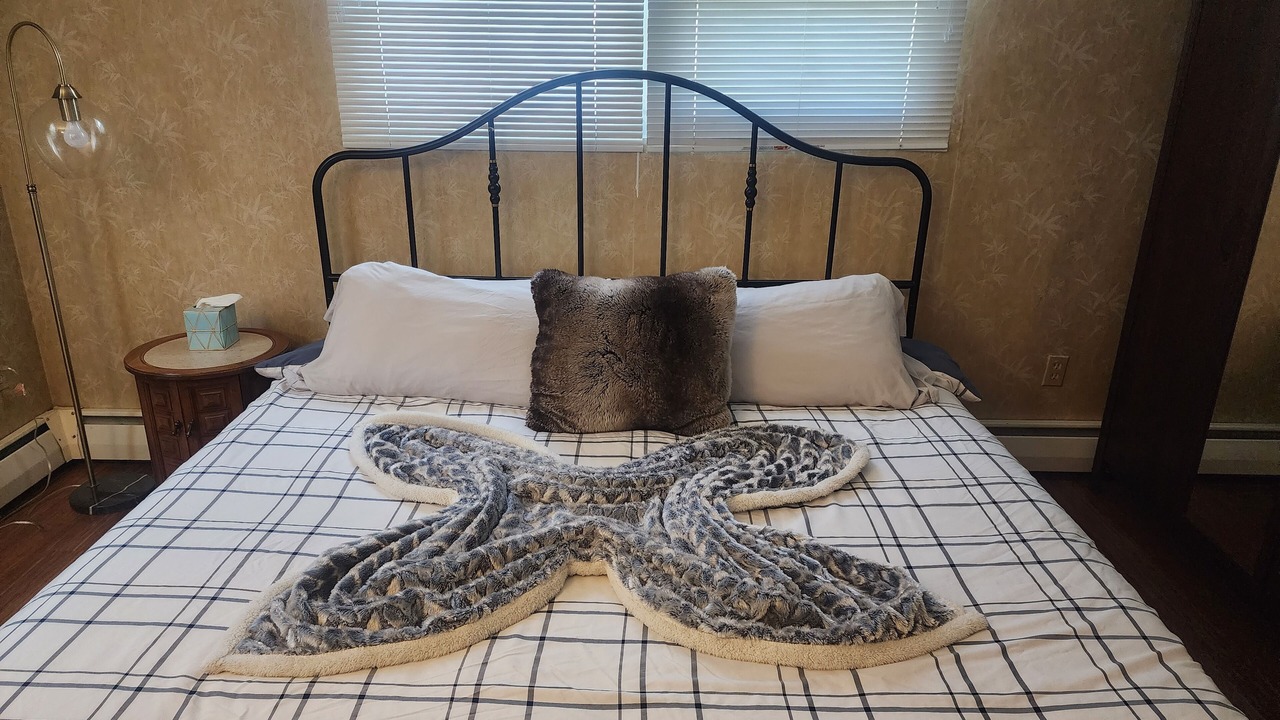 Photo of Bedroom in King of Prussia