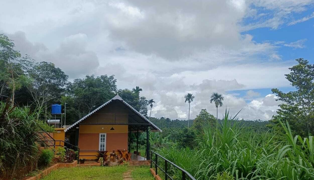 Photo of Outdoor in Sulthan Bathery