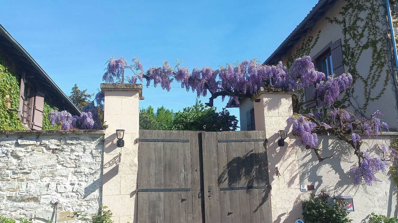 Photo of Outdoor in Jourgnac