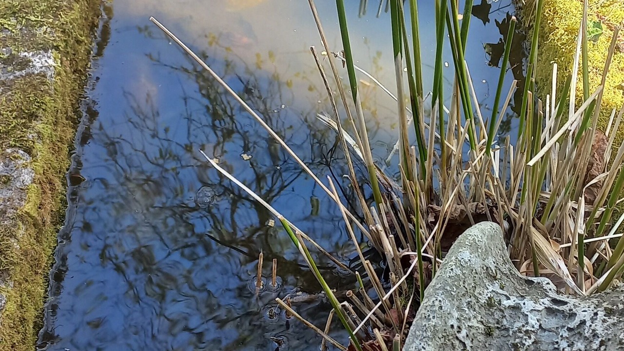 Photo of Outdoor in Jourgnac