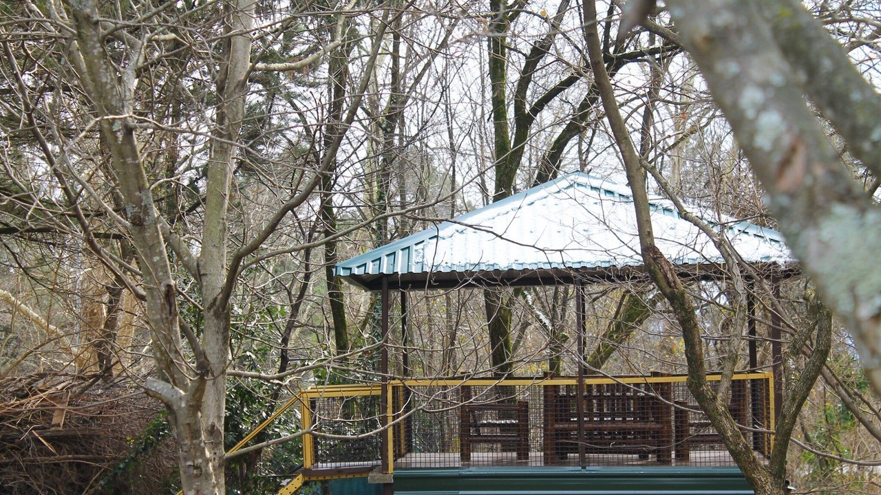 Photo of Outdoor in Tsqaltubo