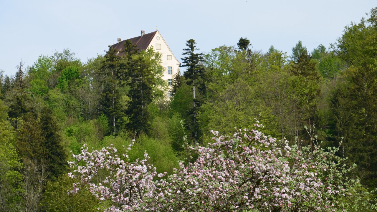 Photo of Outdoor in Achberg