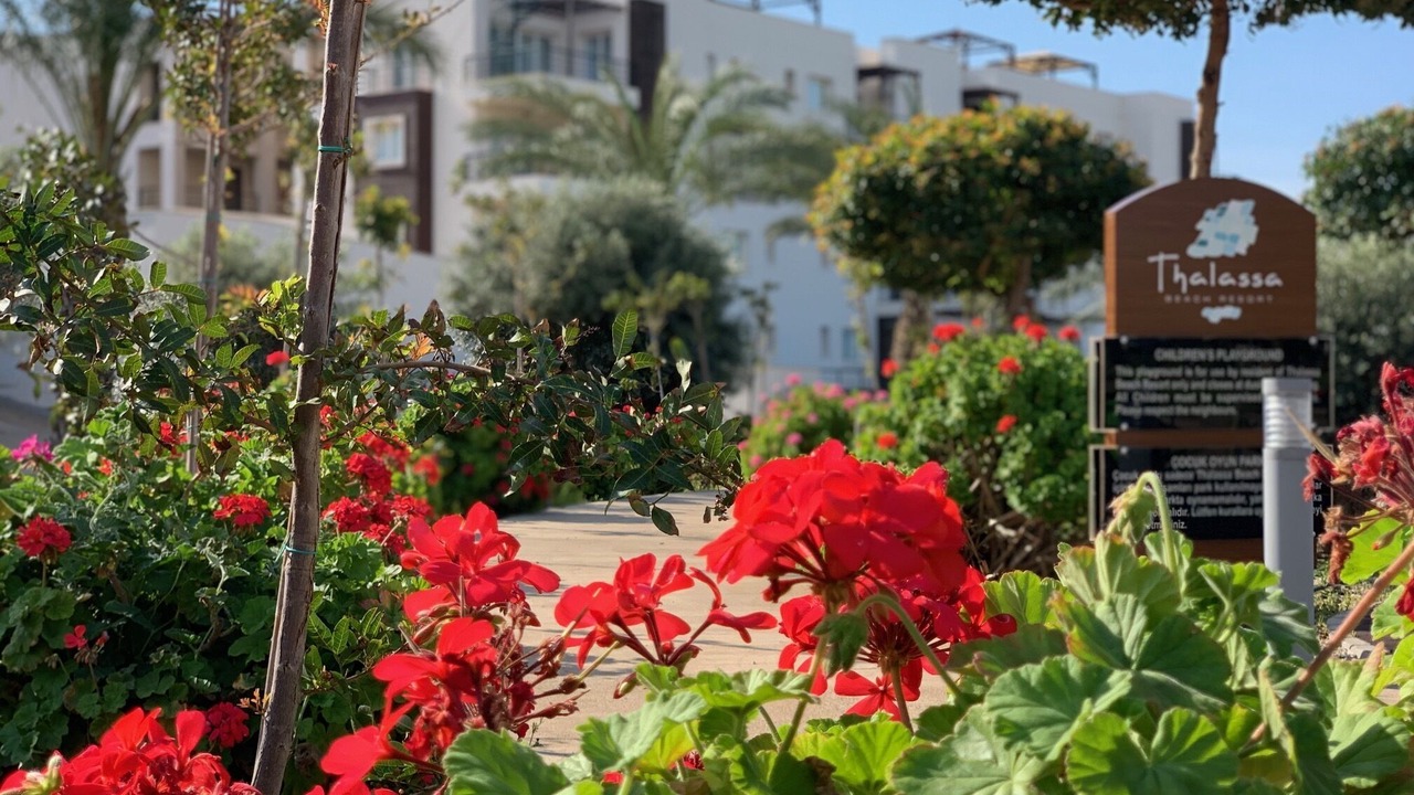 Photo of Outdoor in Bogaz