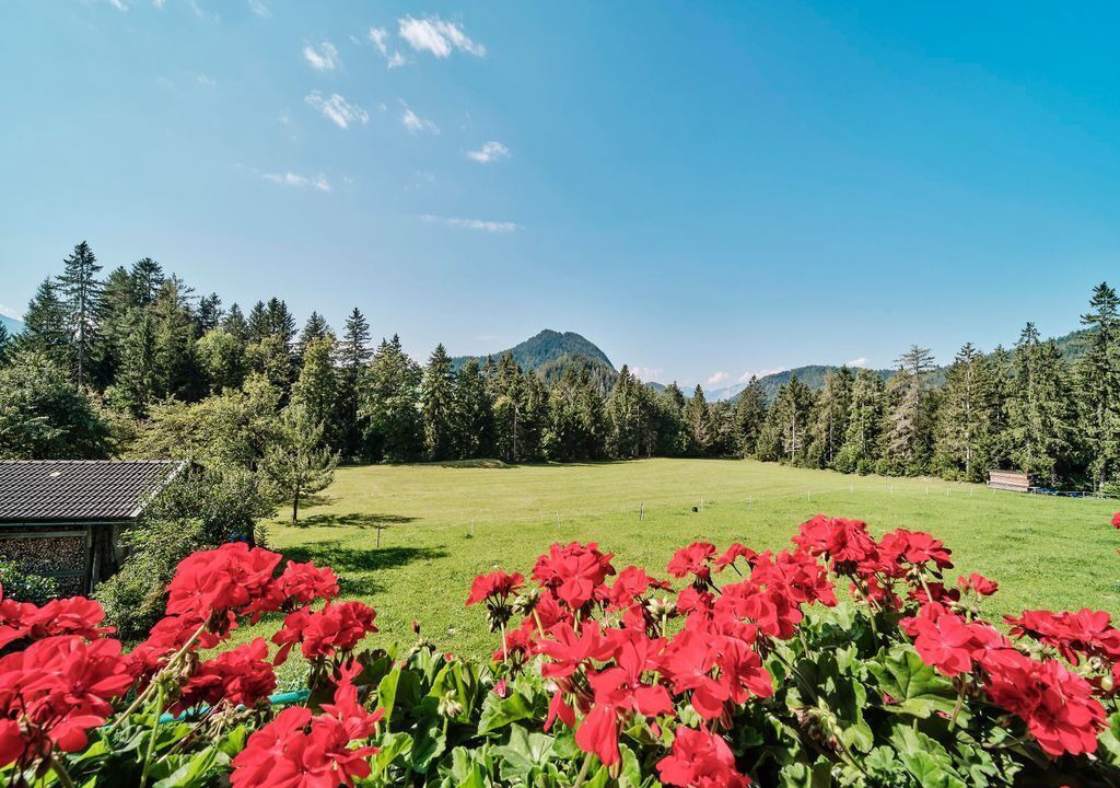 Photo of Outdoor in Scheffau am Wilden Kaiser
