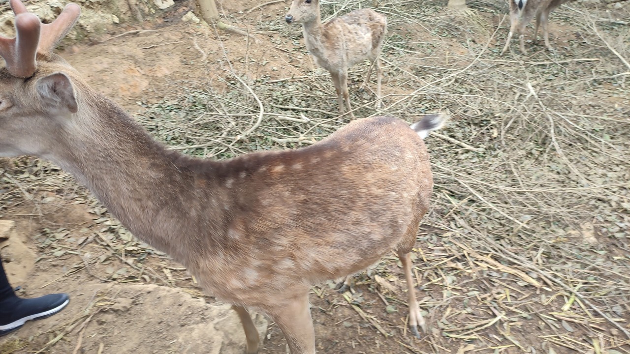 Photo of Outdoor in Pu Long Nature Reserve