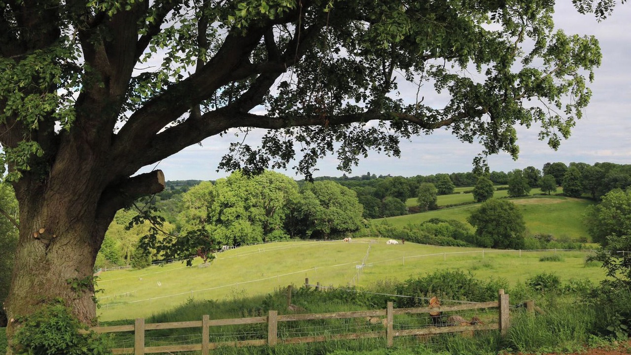 Photo of Others in East Haddon