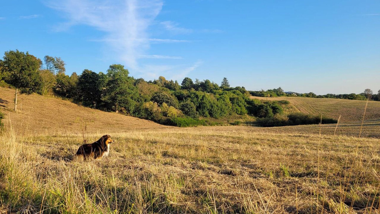Photo of Outdoor in Faaborg