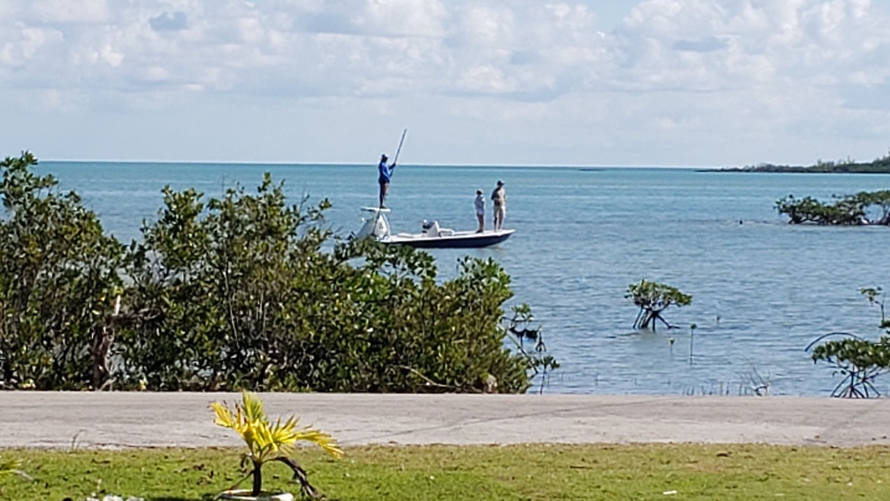 Photo of Others in Stafford Creek