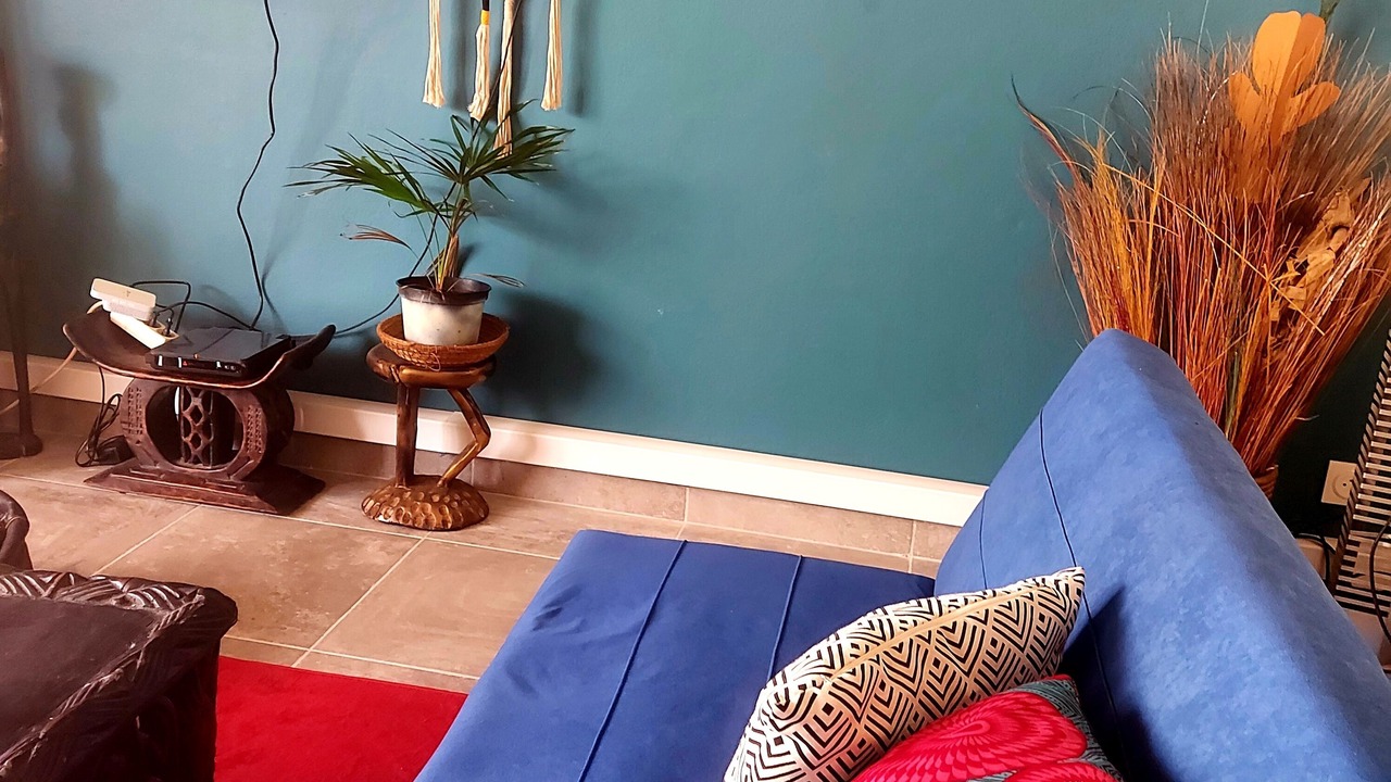 Photo of Livingroom in Pointe-a-Pitre