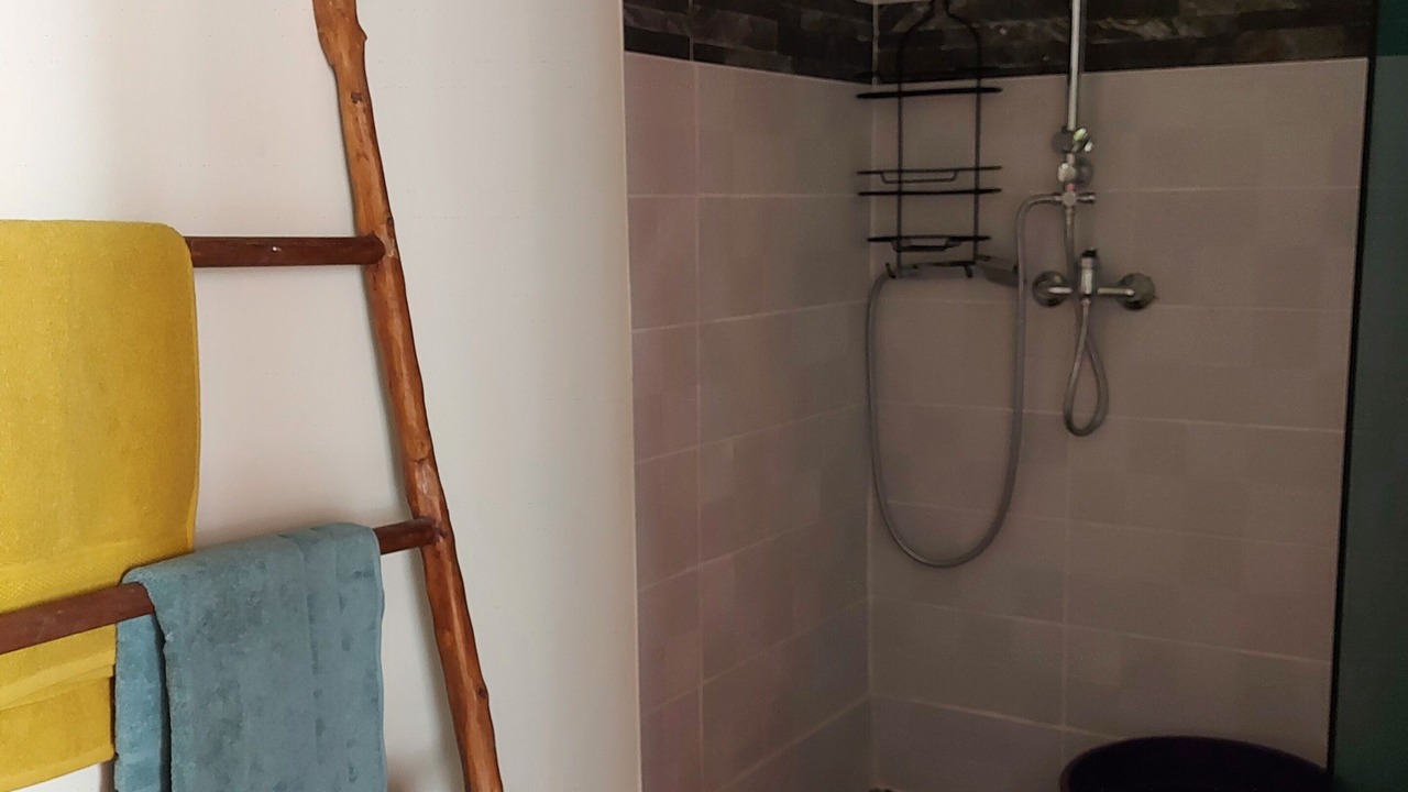 Photo of Bathroom in Pointe-a-Pitre