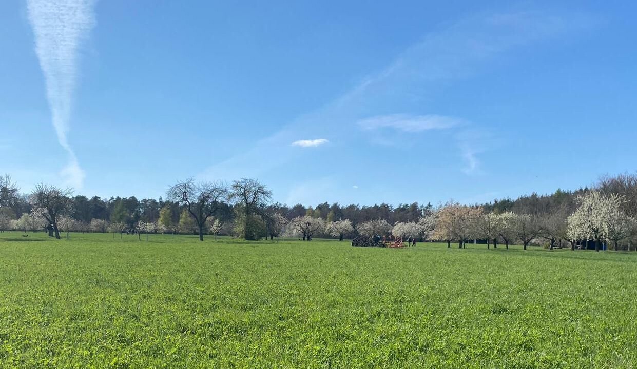 Photo of Outdoor in Kornburg - Worzeldorf