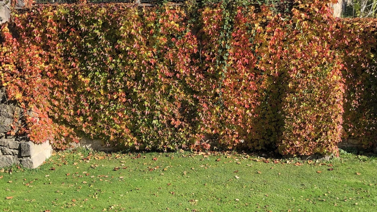 Photo of Outdoor in Kornburg - Worzeldorf