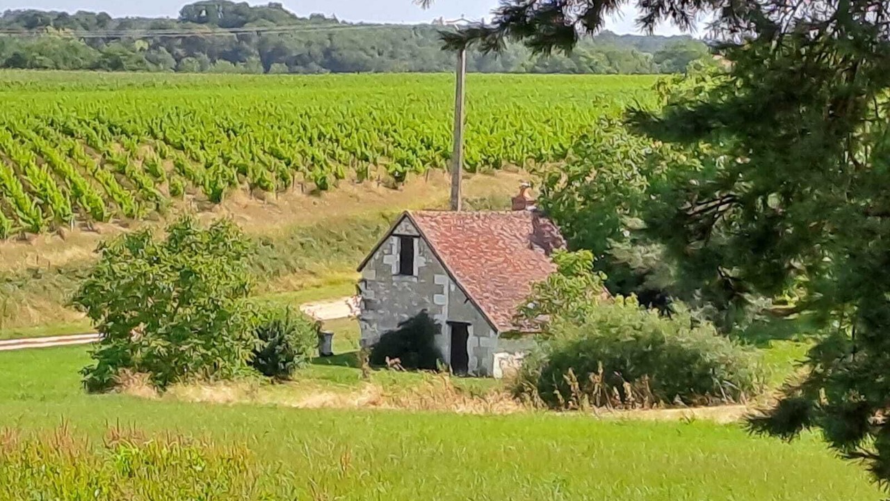 Photo of Outdoor in Chateauvieux